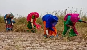 Rural-women-Sindh-780x450
