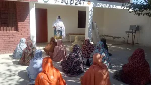 crop-Demand-generation-copy